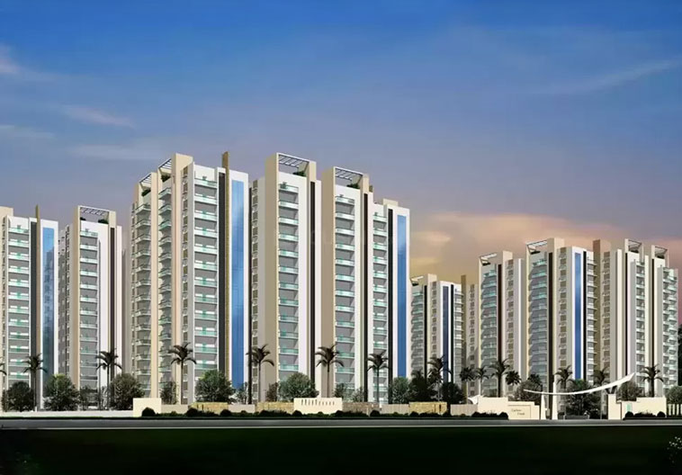 Jains Carlton Creek